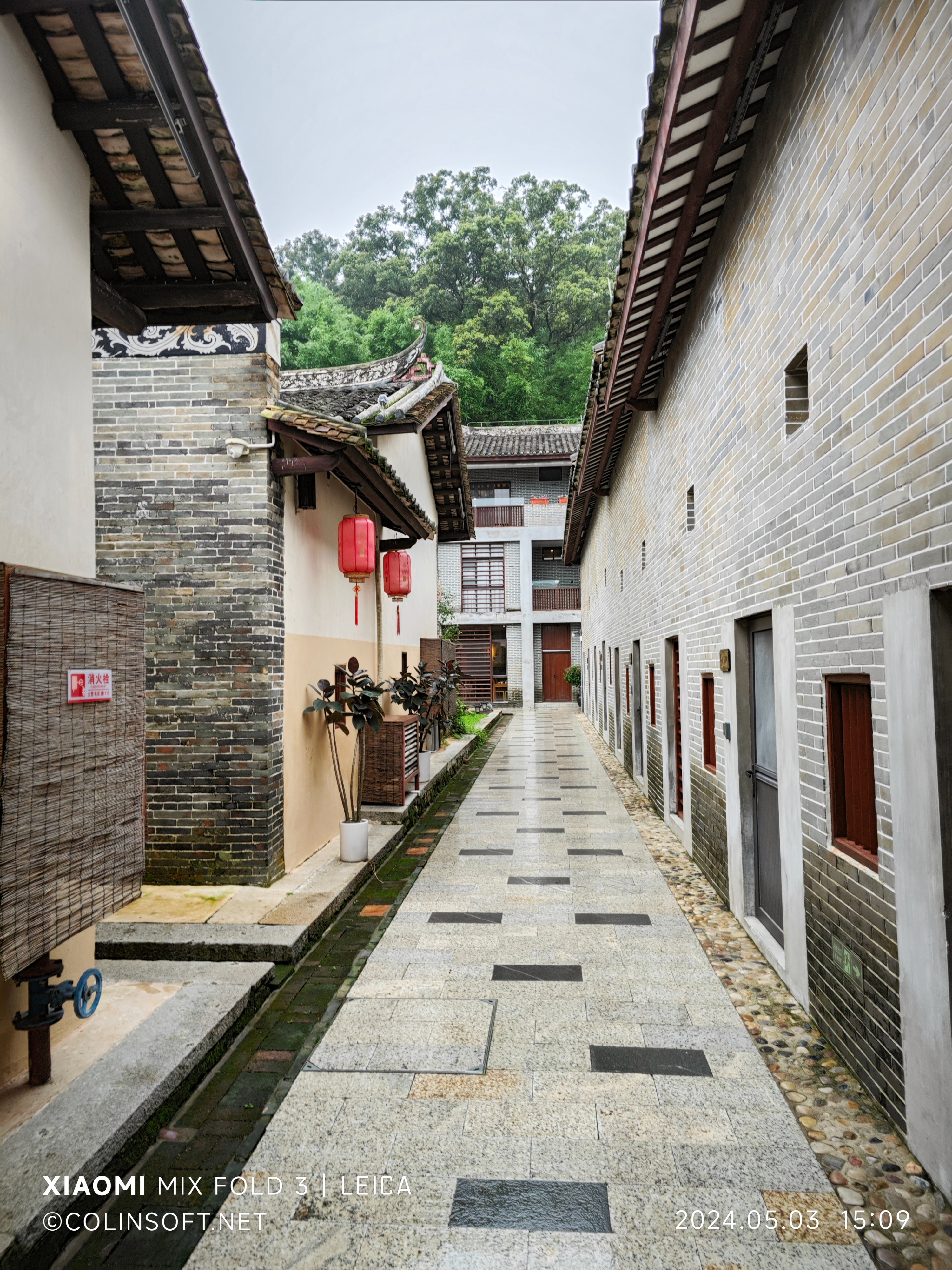 50592_zhib_9677.jpg